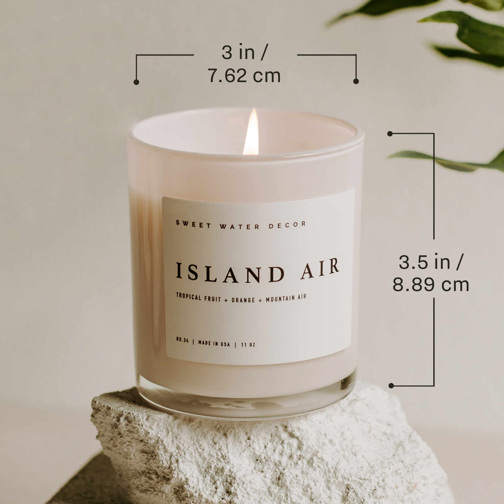 Pink Grapefruit 11 oz Soy Candle - Home Decor & Gifts