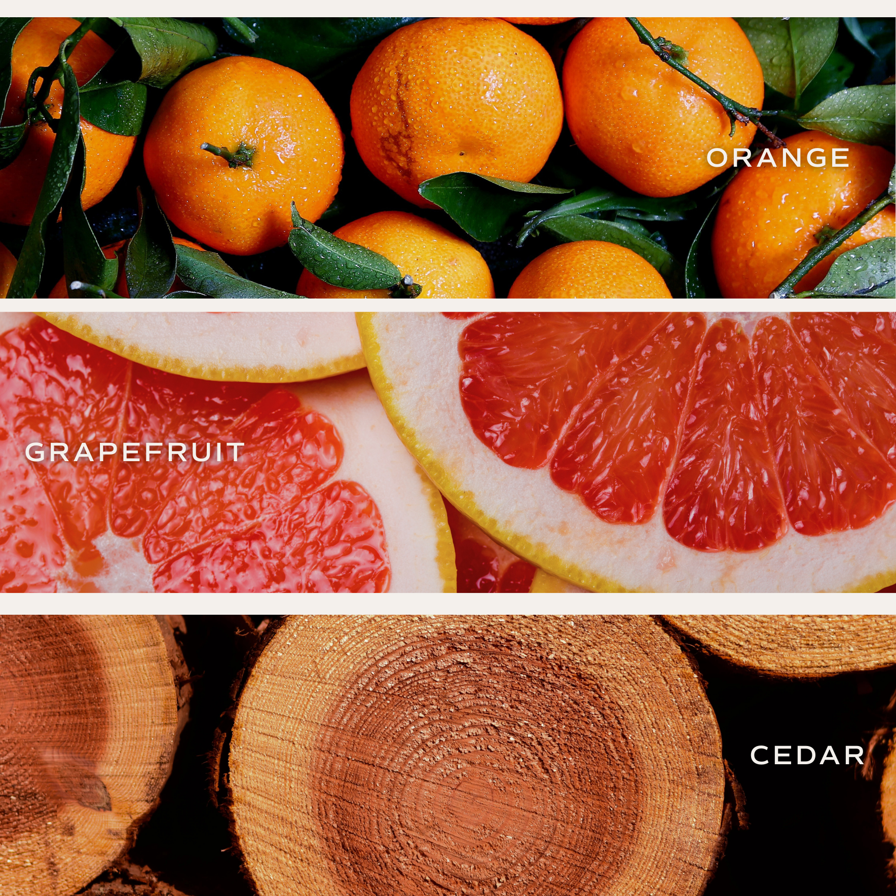 Pink Grapefruit 11 oz Soy Candle - Home Decor & Gifts