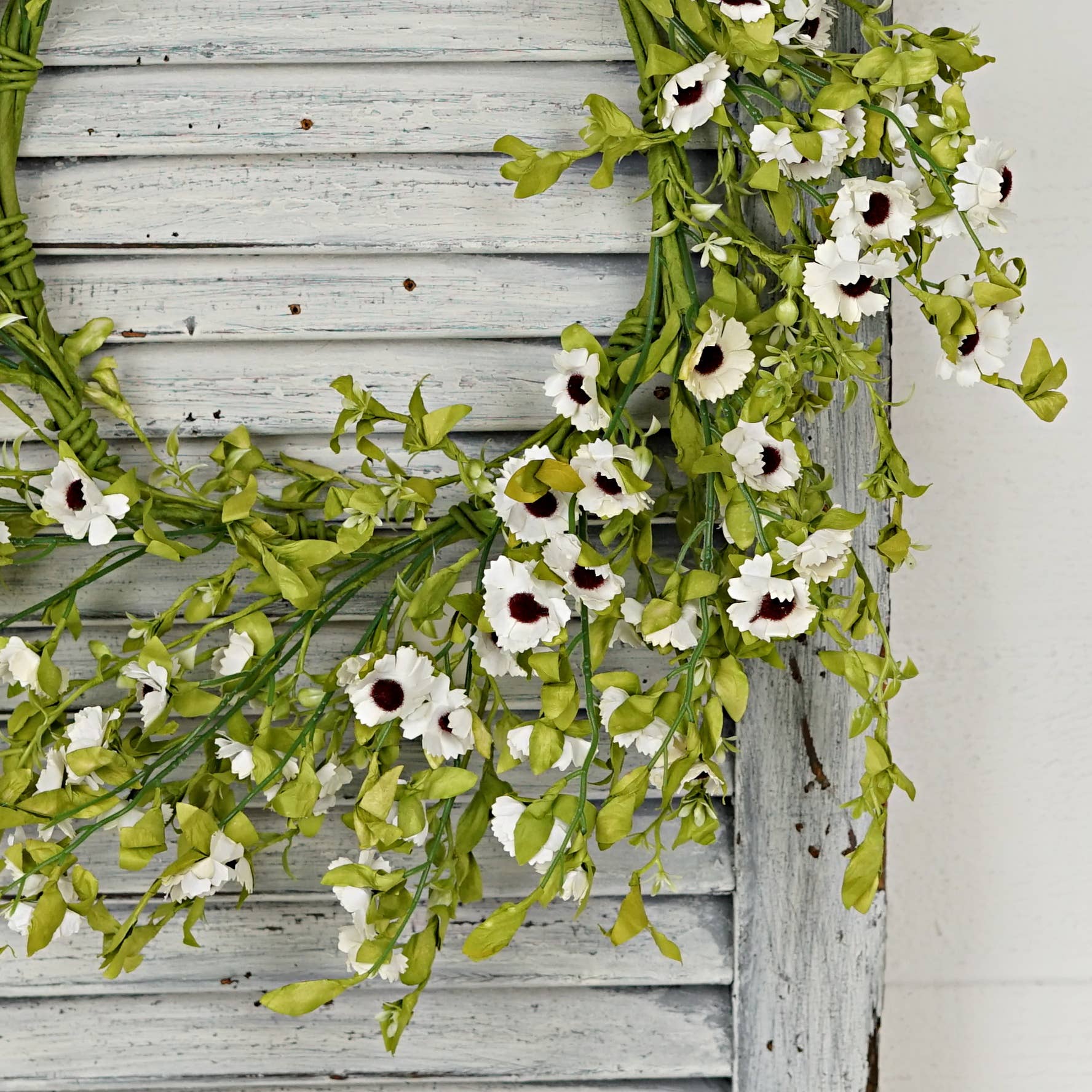 Cream Mountain Daisy Blossoms 20" -Wreath-Spring