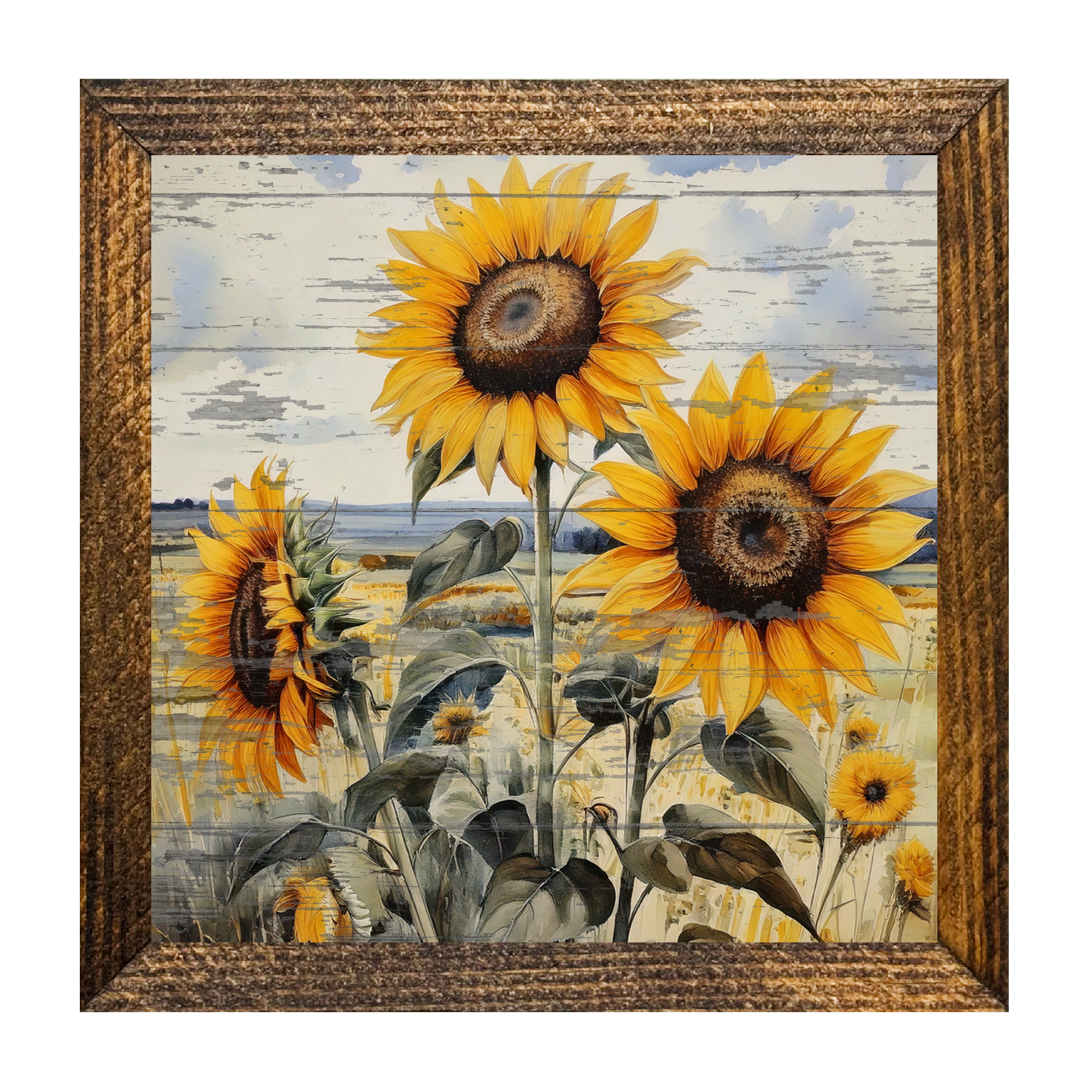 Timberland Frame, Peeled Sunflower Closeup