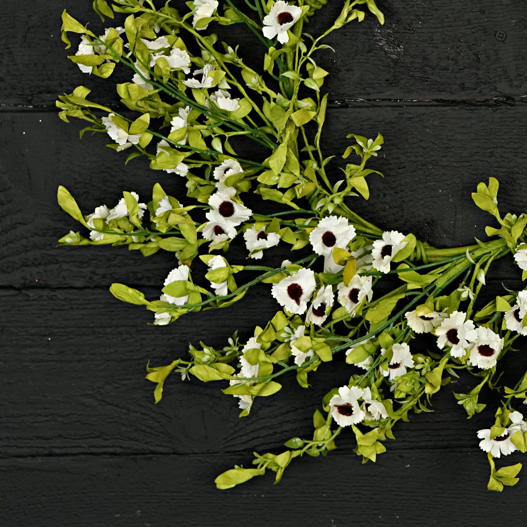 Cream Mountain Daisy Blossoms 20" -Wreath-Spring