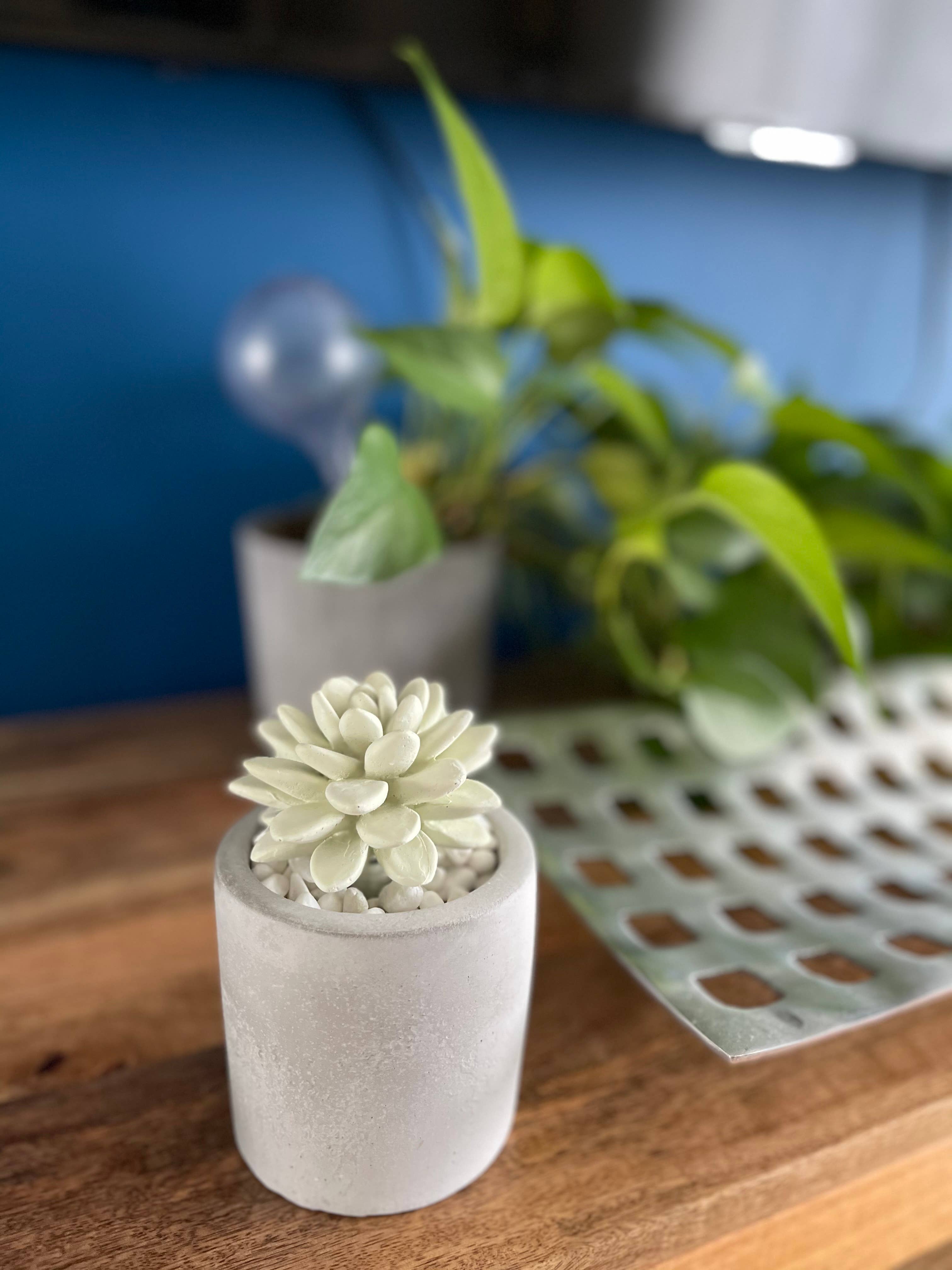 Succulent in Planter Diffuser Gift Set for Home Decor