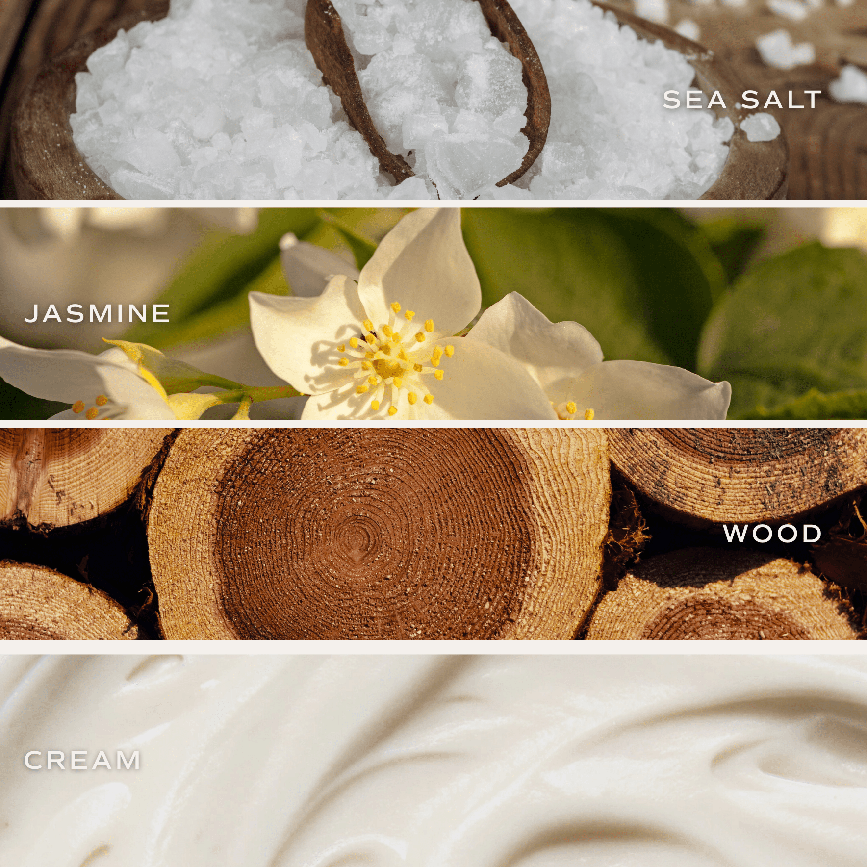 *NEW* Spa Day Reed Diffuser - Gifts & Home Decor