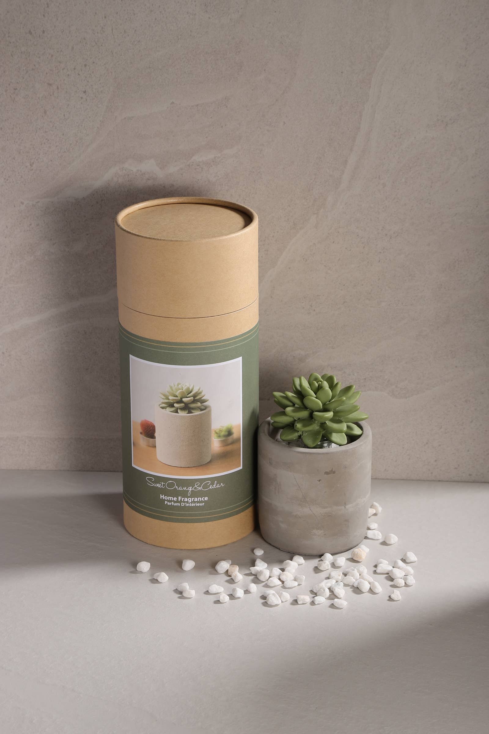 Succulent in Planter Diffuser Gift Set for Home Decor